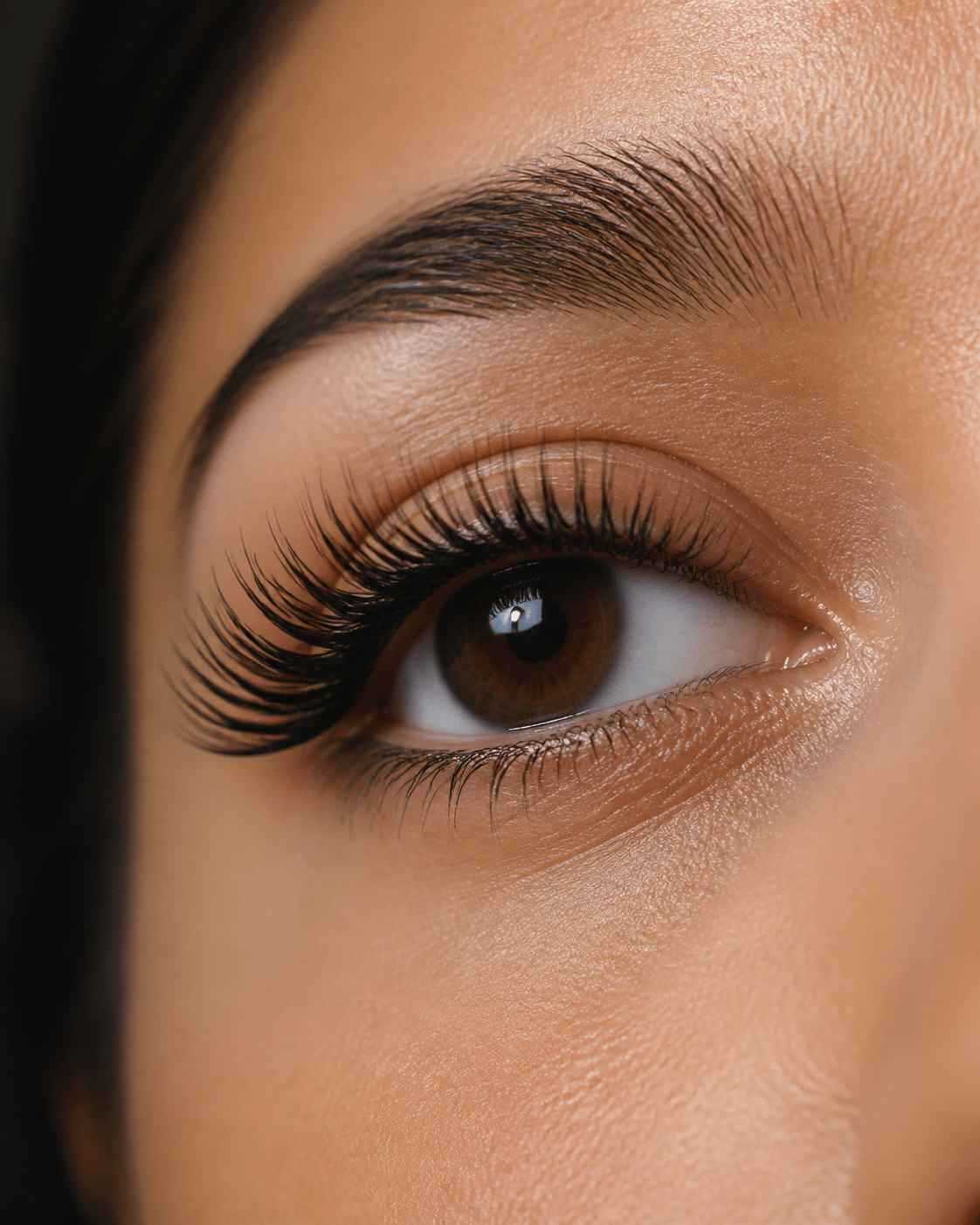 Wimpern & Augenbrauen